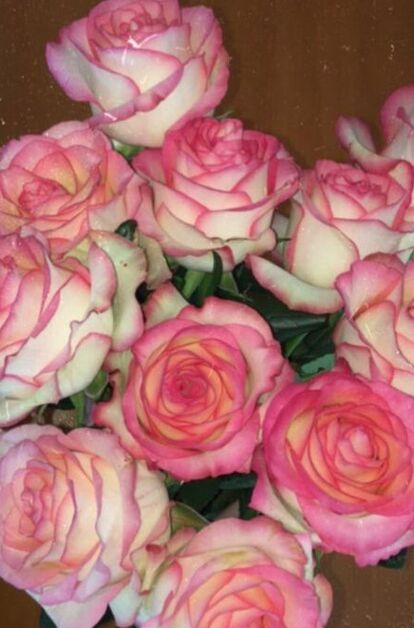 Nikoletta - фото