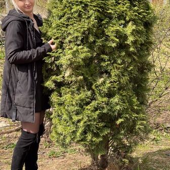 Фото галереи