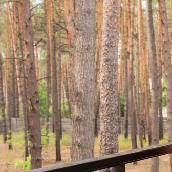 Фото галереи